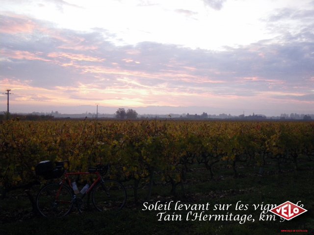 Soleil levant sur les vignes de Tain, km90