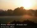 Brume du matin près de Brindas - Rhône