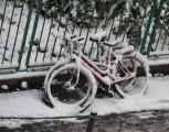 Image attachée: Vélos sous la neige.jpg