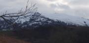 Image attachée: Polish_20210103_173912077.jpg