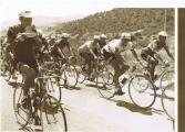 Image attachée: Gianni Motta mange des pates a vélo Giro 1967 cijOkLXHZQ.jpg