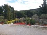 Image attachée: jardin.jpg