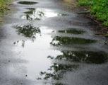 Image attachée: La pluie.jpg