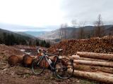 Image attachée: IMG_20210411_095246.jpg