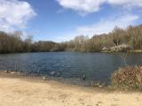 Image attachée: IMG_9853.jpg