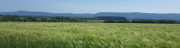 Image attachée: plat.png