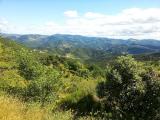 Image attachée: 20130623_103436.jpg