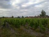 Image attachée: IMG-20160627-00839.jpg