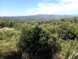 Image attachée: 20210626_145850.jpg