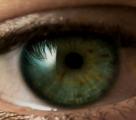 Image attachée: regard.jpg