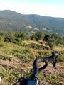 Image attachée: IMG_20210718_190329.jpg