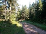 Image attachée: IMG_20210725_095809.jpg