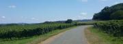 Image attachée: Screenshot_20210729-180805_Samsung Internet.jpg