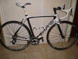 Image attachée: izalco 004.JPG