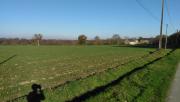 Image attachée: IMG_20201129_143808.jpg